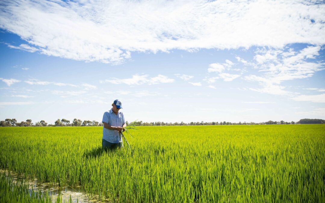 RAMJO Endorses Community Advocacy Campaign to Protect Basin Communities for Future Generations