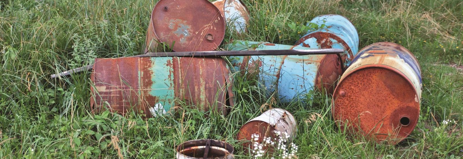 old rusty oil barrels on grass
