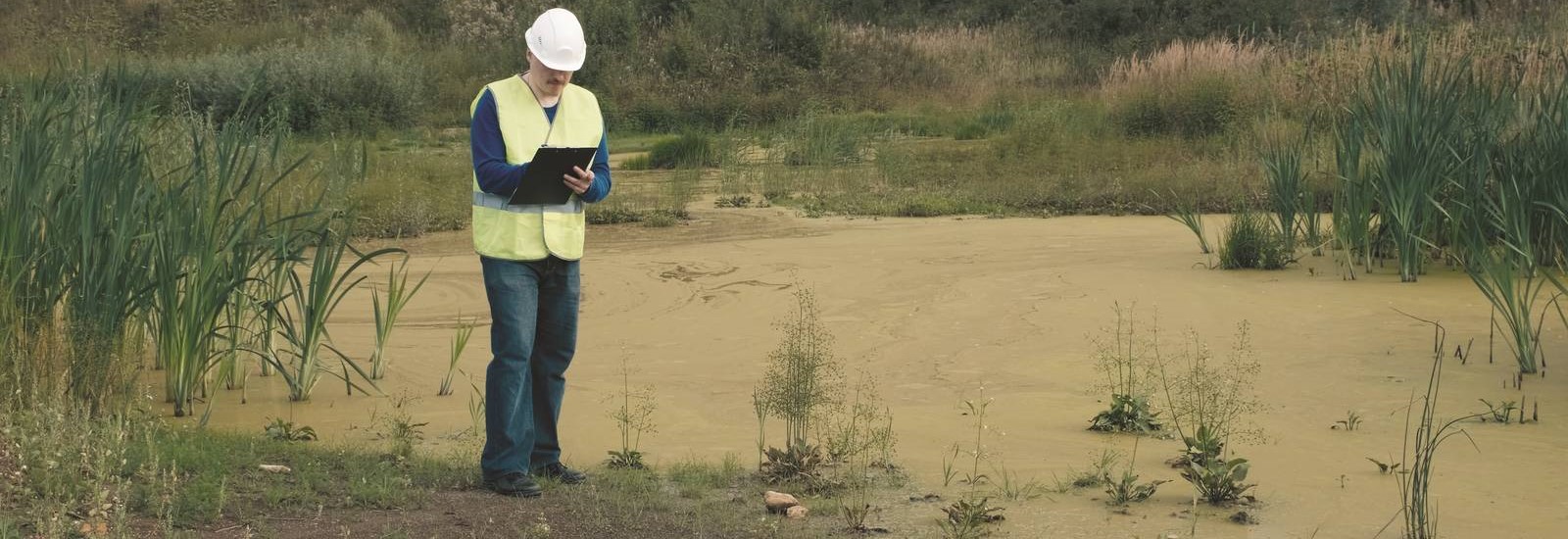 Ecologist in a white helmet takes a sample of water in swampy pond