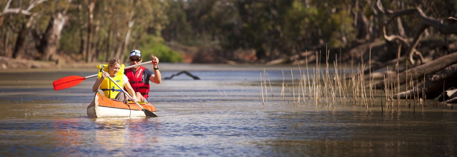Edward River banner
