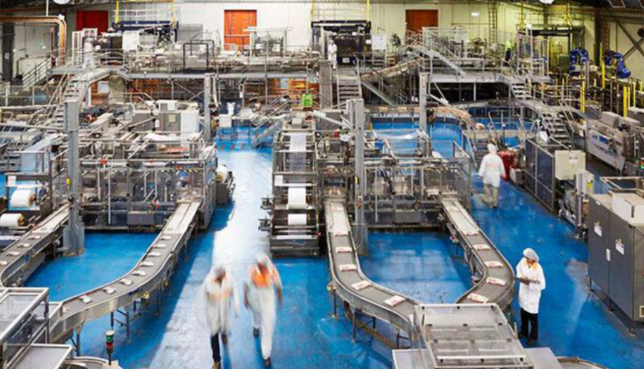 SunRice job cutbacks show real cost of water buybacks