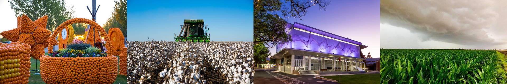 Riverina and Murray Joint Organisation