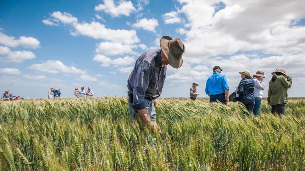 Murray Darling Basin Partnership Boost